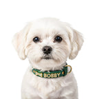 Köpek tasması Bling Charm İsimli Boyun Tasması 139294