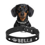 Küçük köpek tasması isimli 16683702