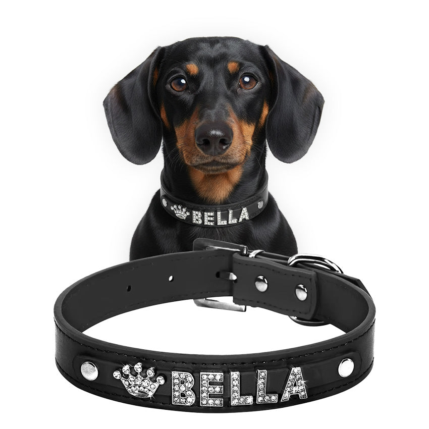 Küçük köpek tasması isimli 16683702