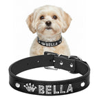 Küçük köpek tasması isimli 16683702