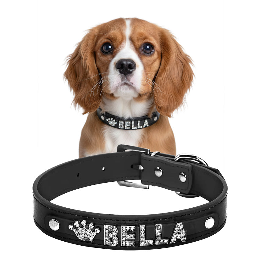 Küçük köpek tasması isimli 16683702