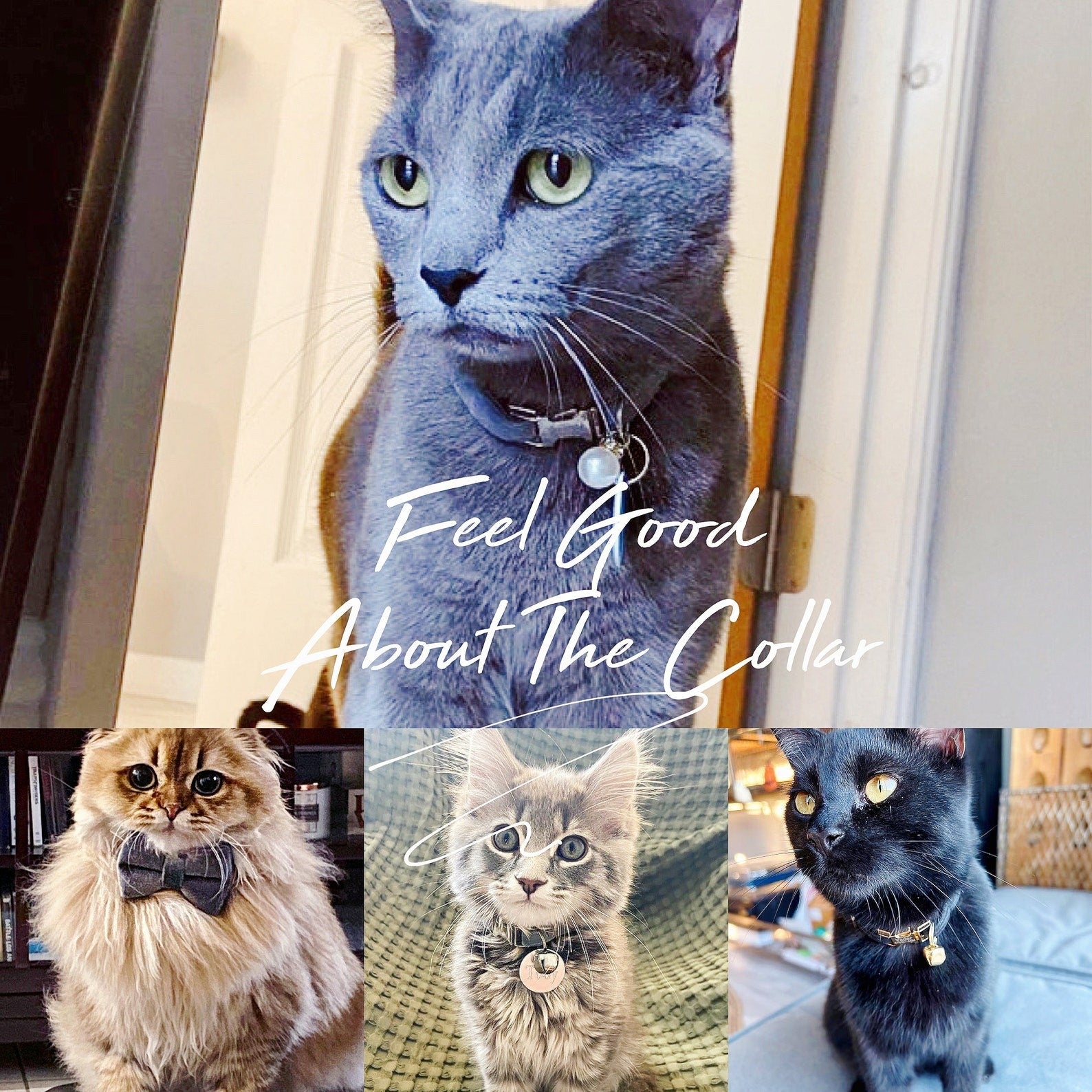 Kedi tasması Kadife isimli zilli kedi Tasma 755153