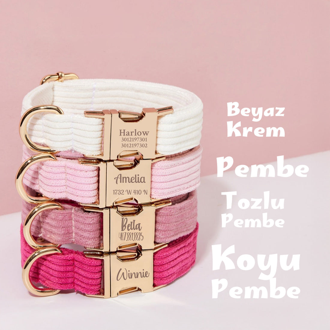 Köpek Boyun Tasması İsimli  Fitilli Kadife Tasma 83955