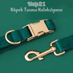 Köpek Boyun Tasması İsimli Christmas Yeşil Kadife 653511