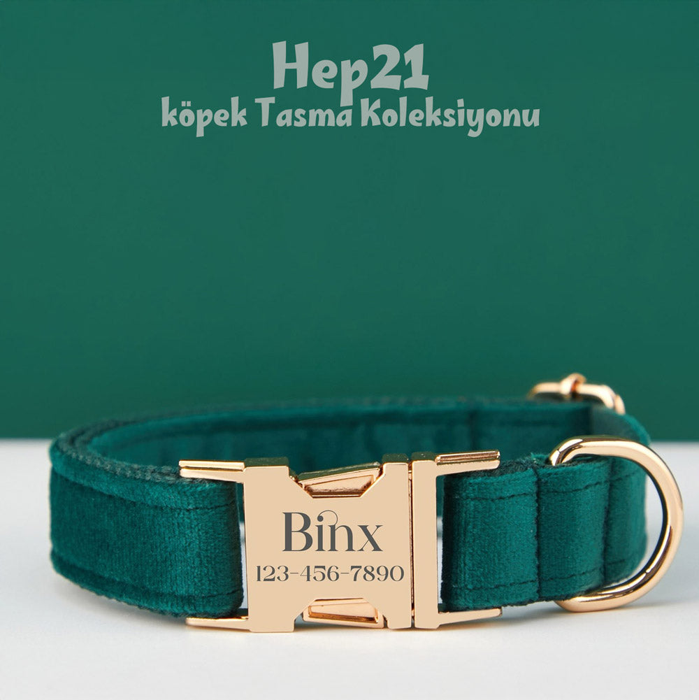 Köpek Boyun Tasması İsimli Christmas Yeşil Kadife 653511