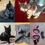 Kedi Göğüs Tasması ve Kayış Seti 88598
