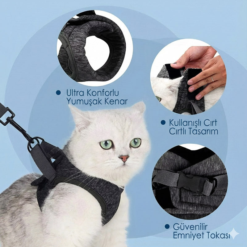 Kedi Göğüs Tasması ve Kayış Seti 88598