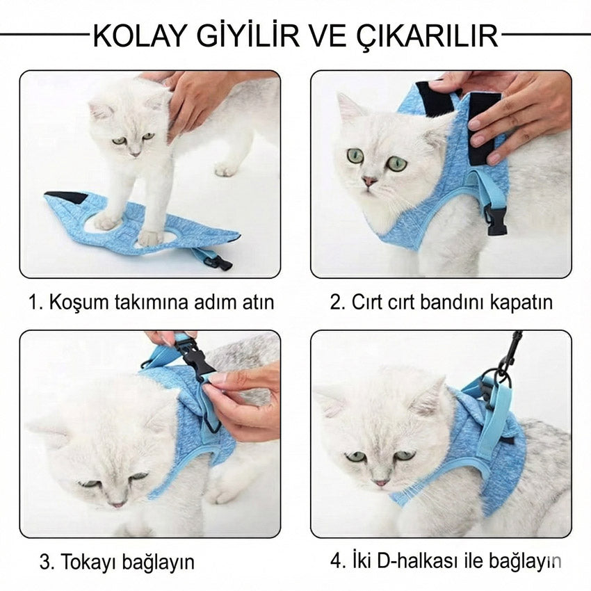 Kedi Göğüs Tasması ve Kayış Seti 88598