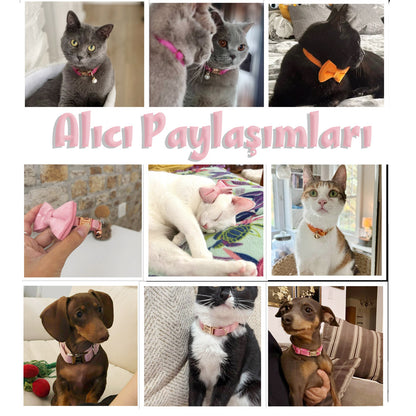 Kedi tasması Kadife İsimli Zilli 79118