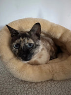 Sonbahar ve Kış Kedi Uyku Tulumu Kedi Yatağı 16084