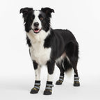 Köpek Ayakkabısı Reflective 48698