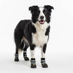 Köpek Ayakkabısı Reflective 48698