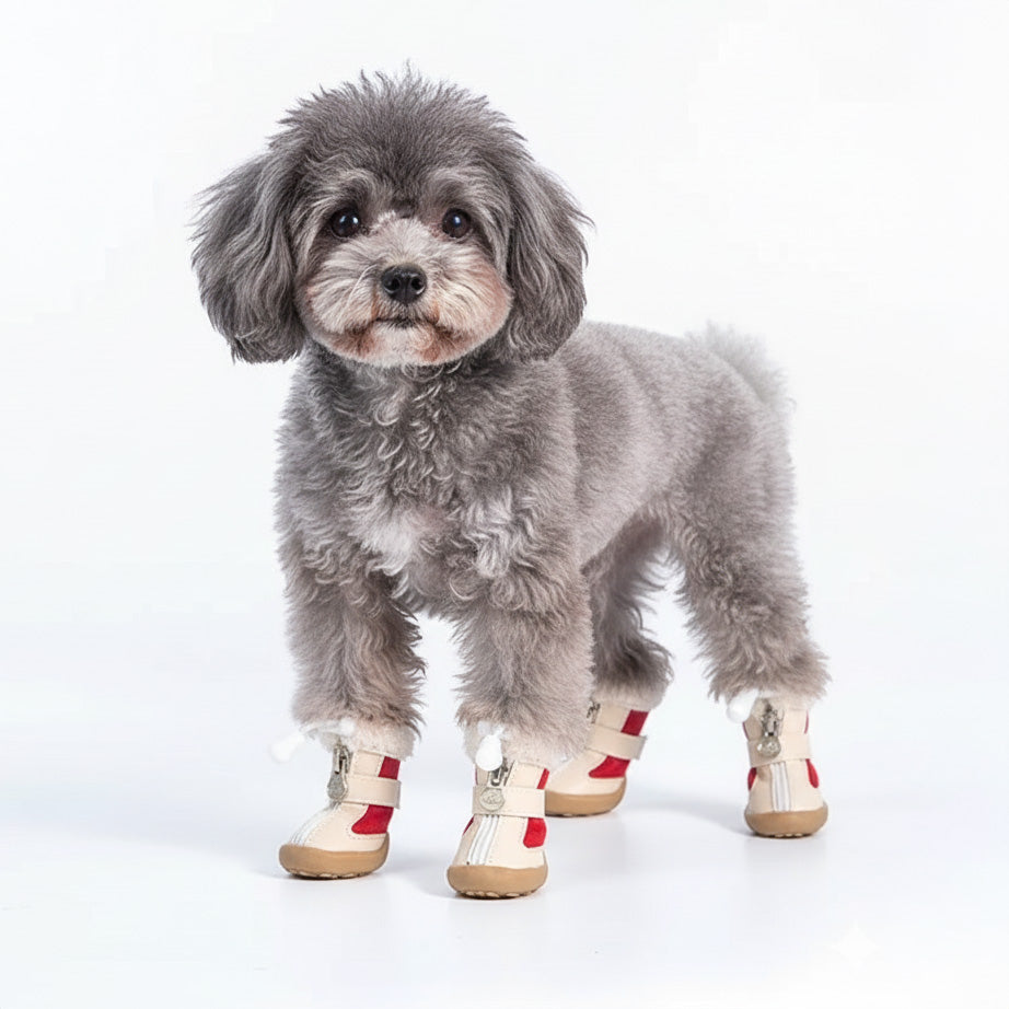 Köpek Ayakkabısı 83570