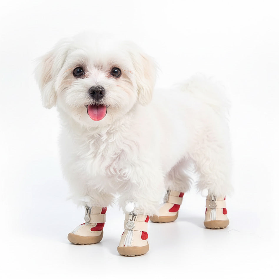 Köpek Ayakkabısı 83570