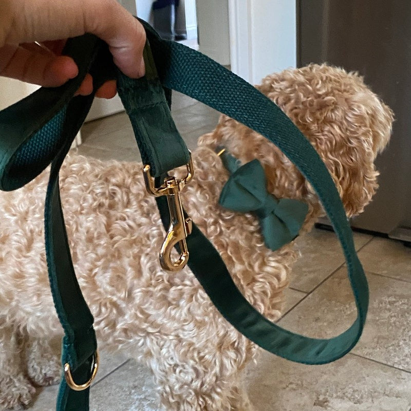 Köpek Boyun Tasması İsimli Orman Yeşili Kadife Boyun Tasması 489419