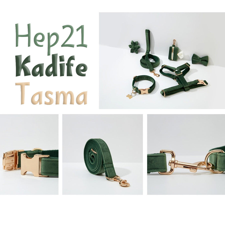 Köpek Boyun Tasması İsimli Orman Yeşili Kadife Boyun Tasması 489419