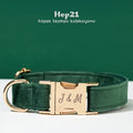Köpek Boyun Tasması İsimli Orman Yeşili Kadife Boyun Tasması 489419