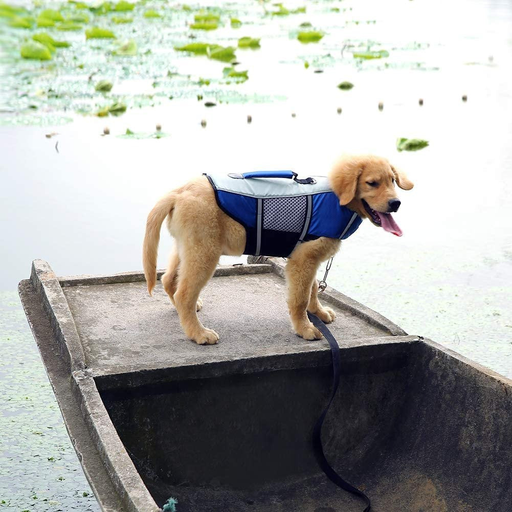 Köpek Can Yeleği Yansıtıcı Yüzme Yeleği 35595423