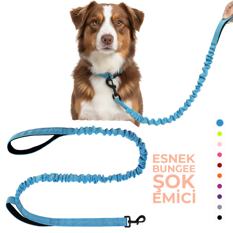 Köpek Gezdirme İpi Şok Emici 09749