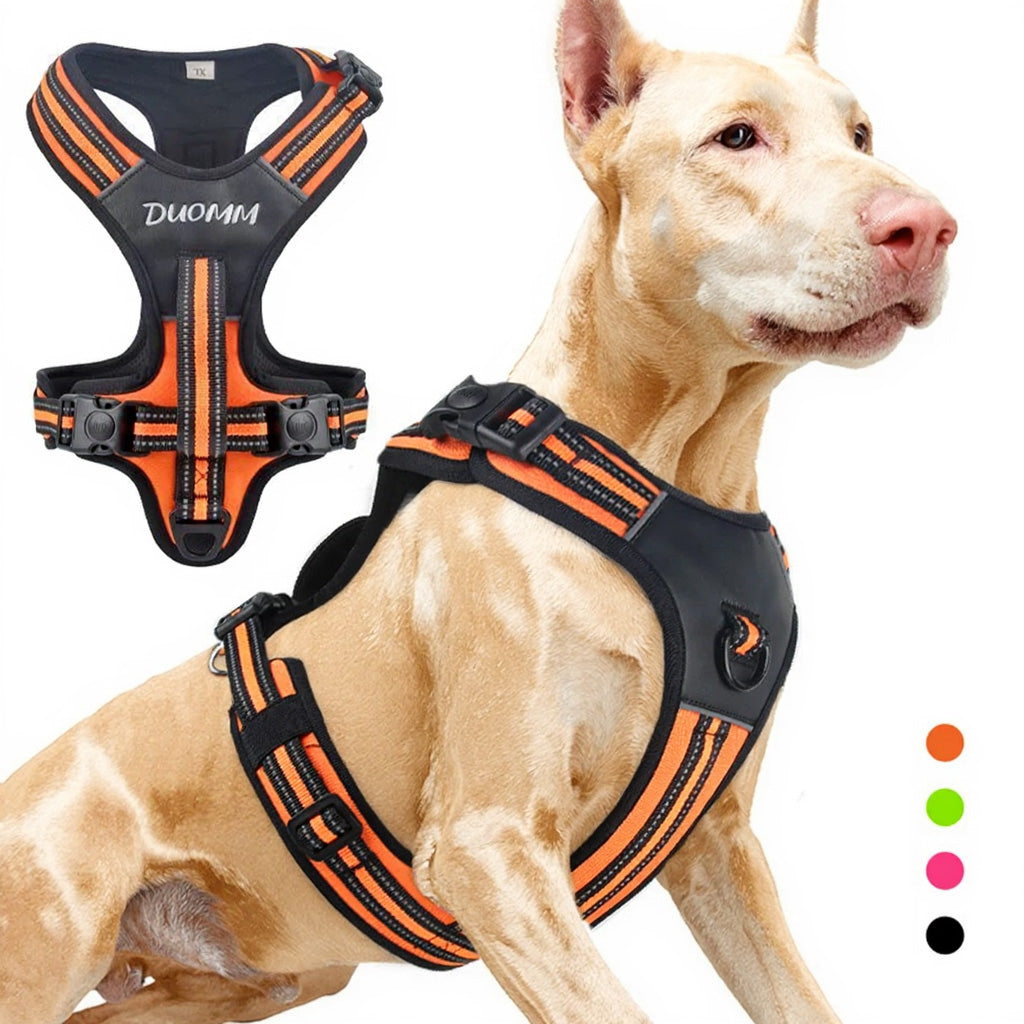 Köpek Göğüs Tasması 07068