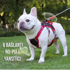 Köpek Göğüs Yansıtıcı Belden Tasma 800659