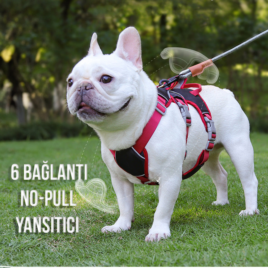 Köpek Göğüs Yansıtıcı Belden Tasma 800659