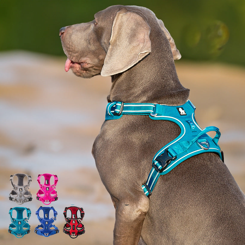 Köpek Göğüs Tasması Reflective 36131460