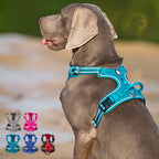 Köpek Göğüs Tasması Reflective 36131460