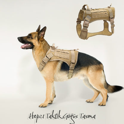 Köpek göğüs tasması kayış Set Tactical 39810022