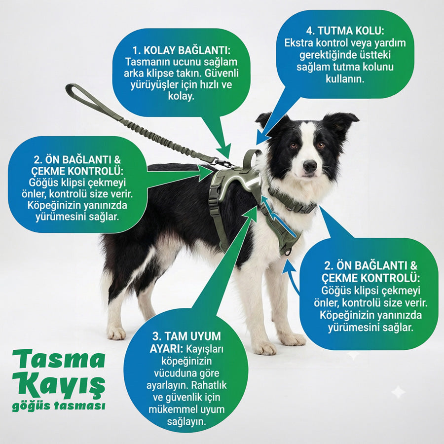 3'lü Taktik Köpek Eğitim Seti Çekiştirme Önleyici Göğüs Tasması 88535