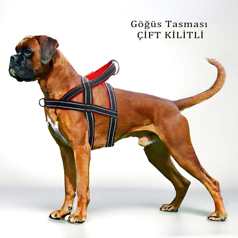 Köpek göğüs tasması ÇİFT KİLİT 46190926