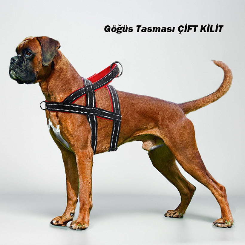 Köpek göğüs tasması ÇİFT KİLİT 46190926