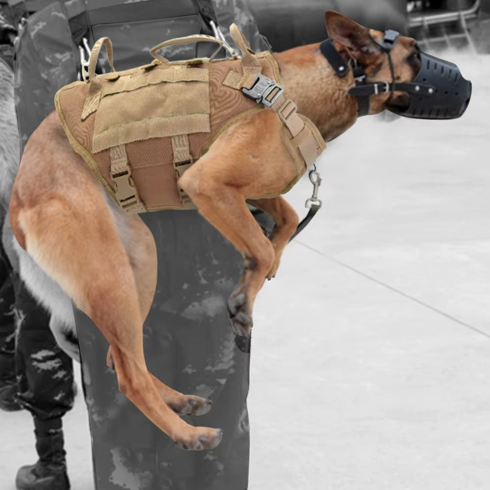 Köpek Göğüs Tasması 01380