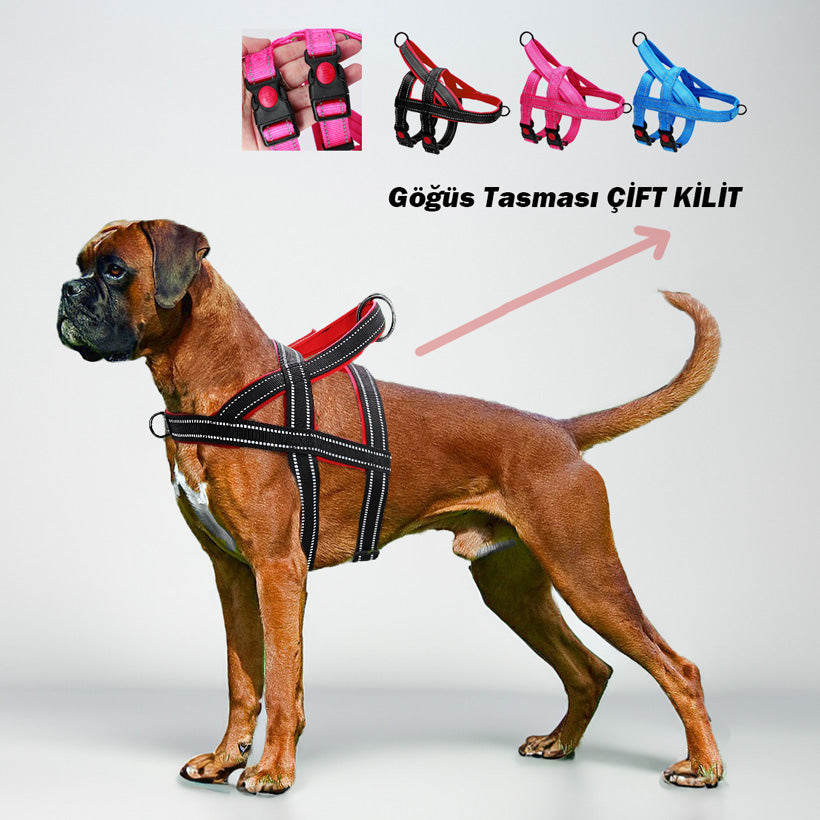 köpek göğüs tasması çift kilitli