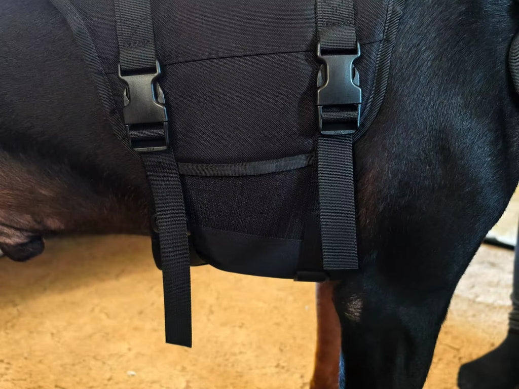 Köpek Göğüs Tasması 01380