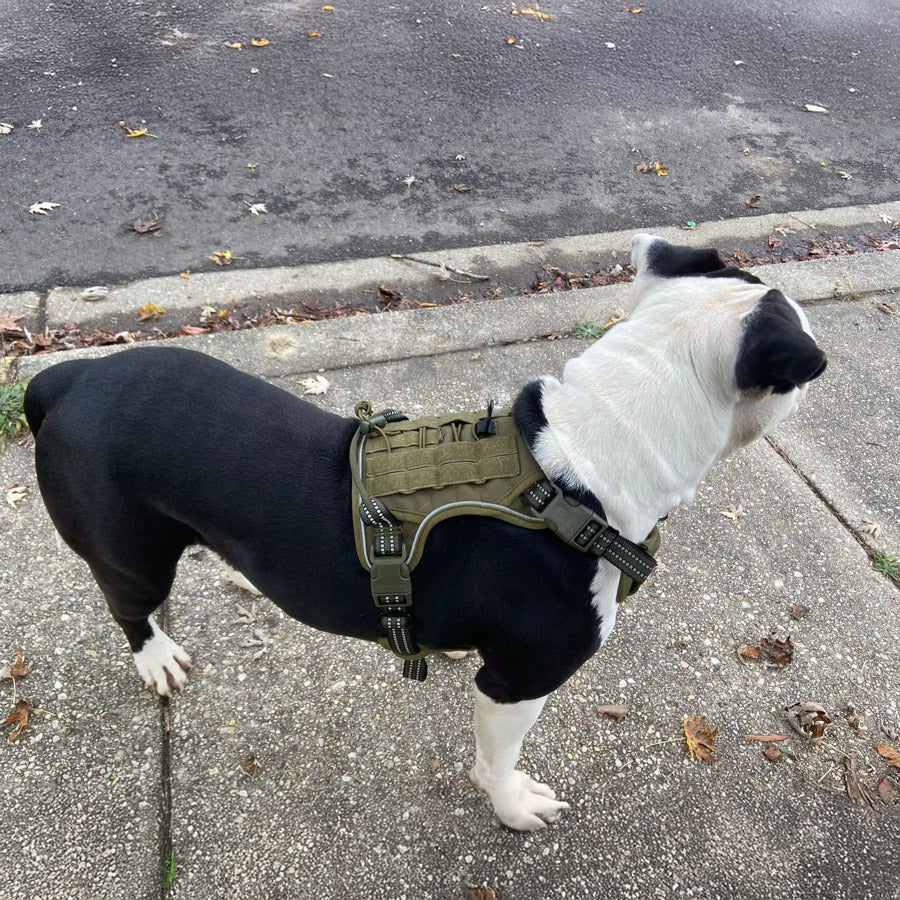 Köpek Göğüs Tasması Yansıtıcı 29189