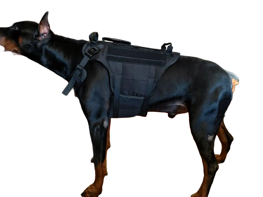 Köpek Göğüs Tasması 01380