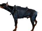 Köpek Göğüs Tasması 01380