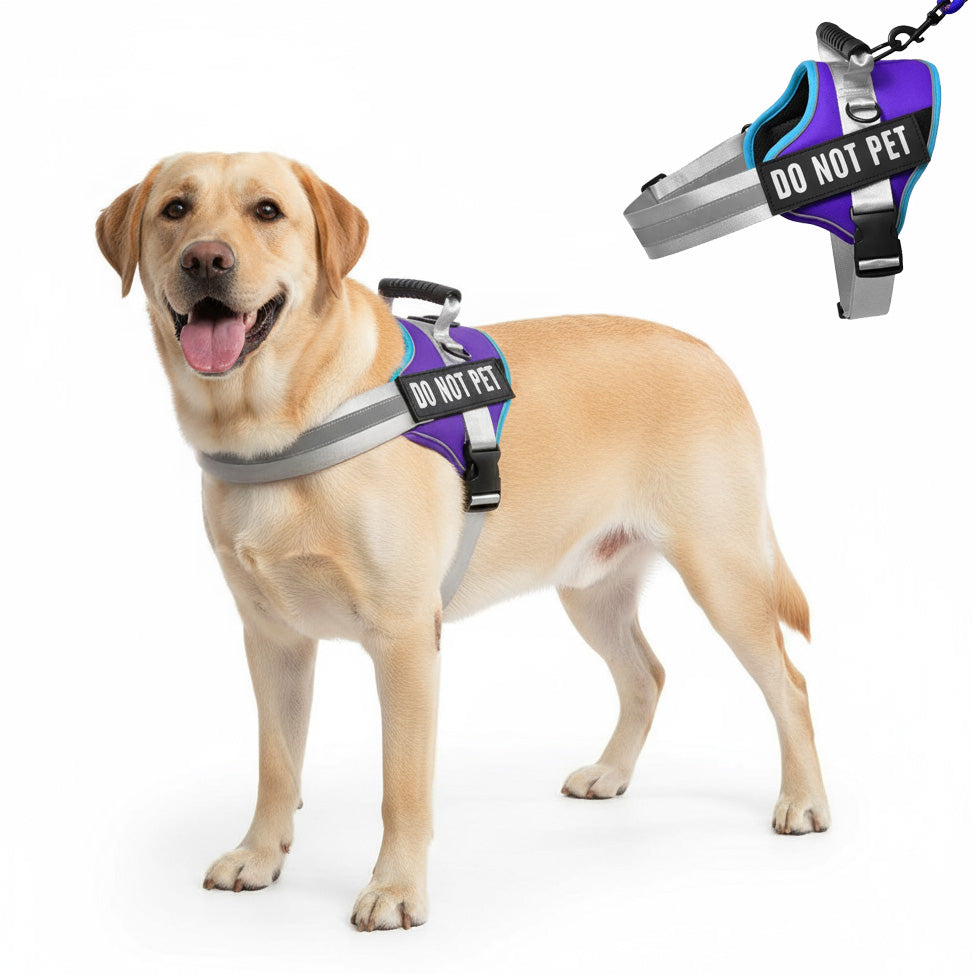 Köpek Göğüs Tasması Reflektörlü ve Ayarlanabilir 77642
