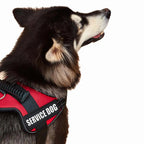 Köpek Göğüs Tasması İSİMLİ Reflective 84076