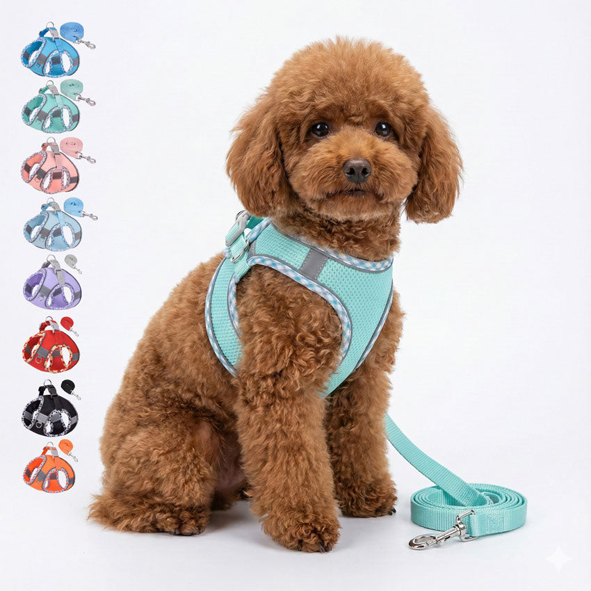 Köpek Göğüs Tasması ve Gezdirme Kayışı Seti 89194