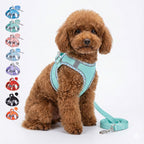 Köpek Göğüs Tasması ve Gezdirme Kayışı Seti 89194