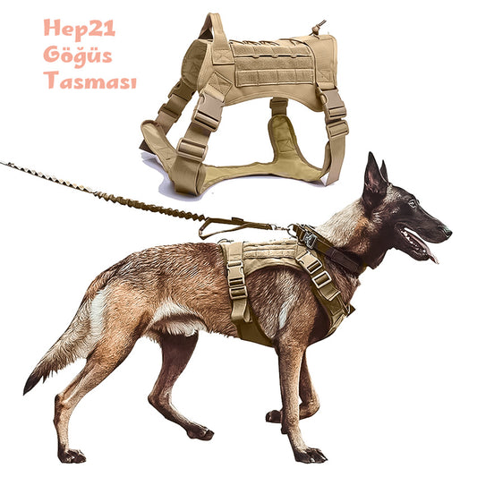Köpek göğüs tasması kayış Set Tactical 39810022