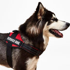 Köpek Göğüs Tasması İSİMLİ Reflective 84076