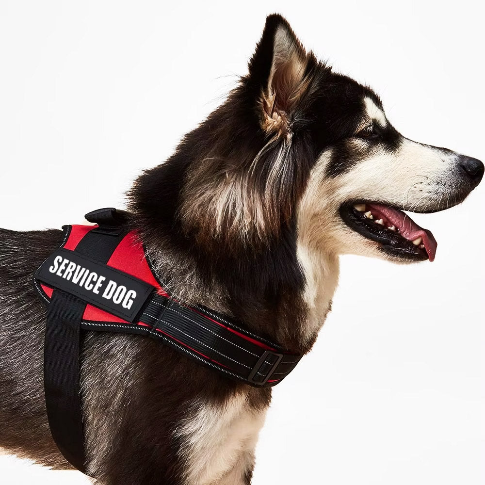 Köpek Göğüs Tasması İSİMLİ Reflective 84076