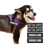 Köpek Göğüs Tasması İSİMLİ Reflective 84076