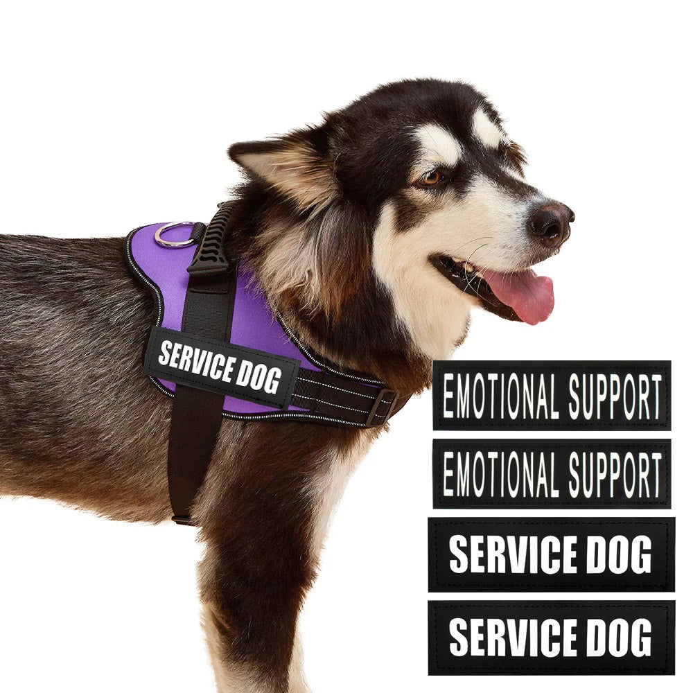 Köpek Göğüs Tasması İSİMLİ Reflective 84076