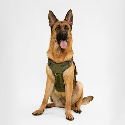 Köpek Göğüs Tasması Tactical isimli 367213