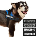 Köpek Göğüs Tasması İSİMLİ Reflective 84076