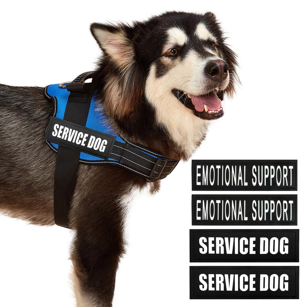 Köpek Göğüs Tasması İSİMLİ Reflective 84076